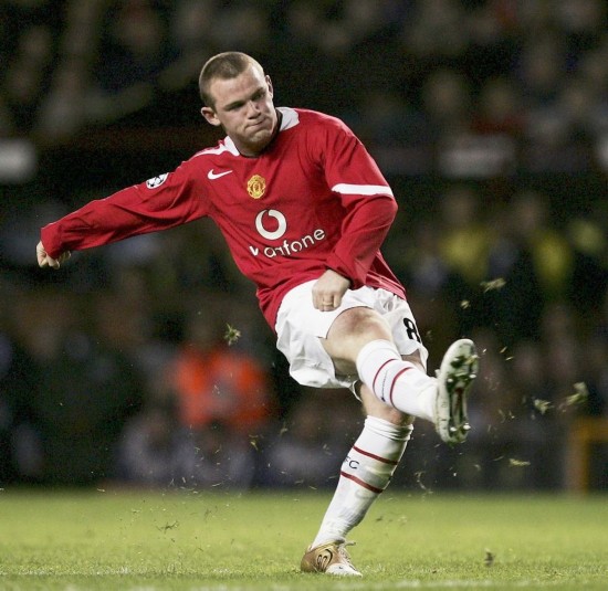 过不断的培 过不断的培